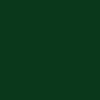 02 ecpaint forest green.png