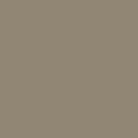 05 ecpaint coyote brown.png