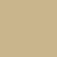 06 ecpaint sand.png