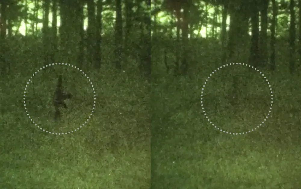 ec paint equpment camouflage signature management.webp